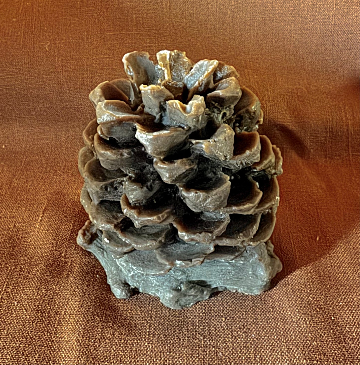 Medium Pinecones