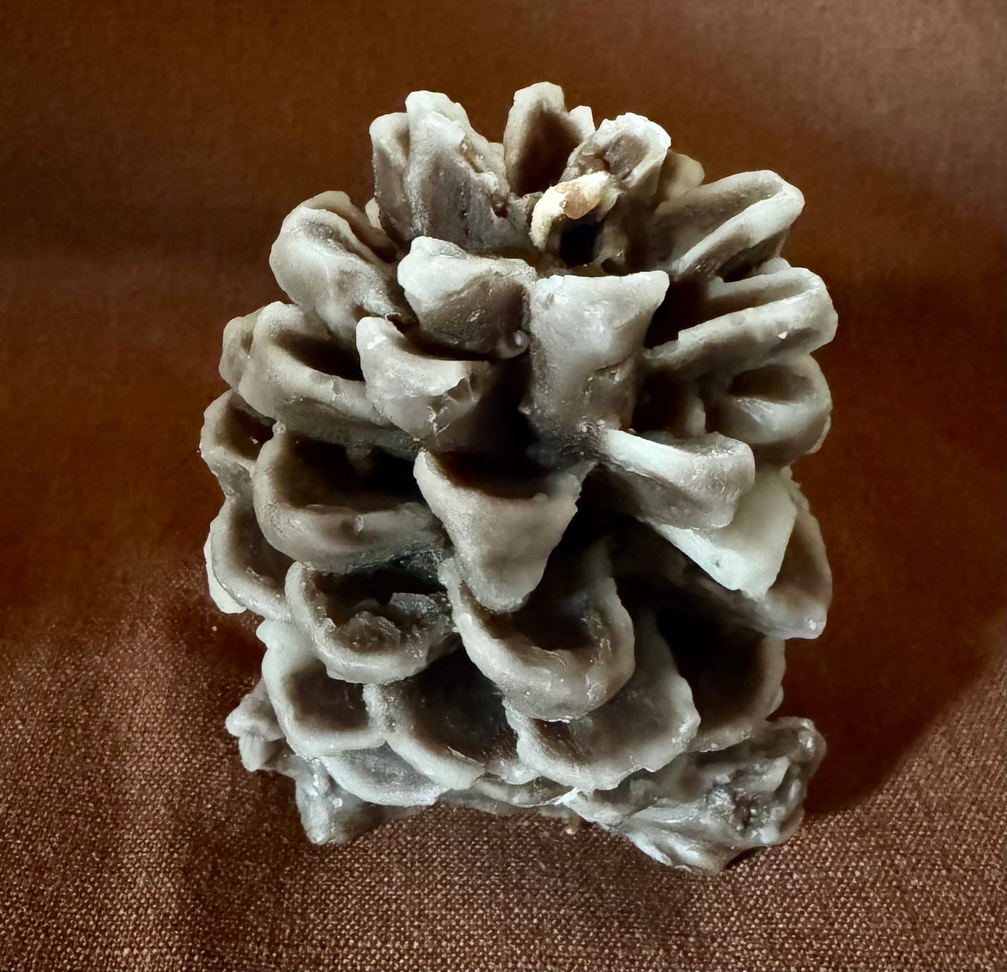 Medium Pinecones